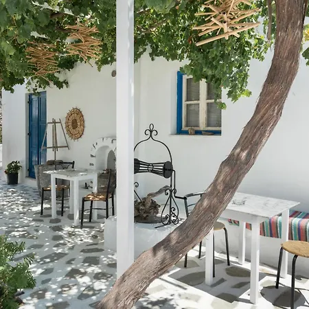 Politimis N5 Appartement *